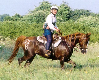 AAS FAHD ALWALIDA+/ at the Heart of Texas Endurance ride. photo by J Adame