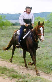 HAWLA AL BADIA+ at the Meanwhile, Back at the Ranch endurance ride, 2003. photo by J Adame 